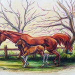 Mare & Foal - Colored Pencil 10